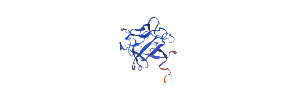 Recombinant Human Basic Fibroblast Growth Factor (OsrhbFGF) - 1 mg