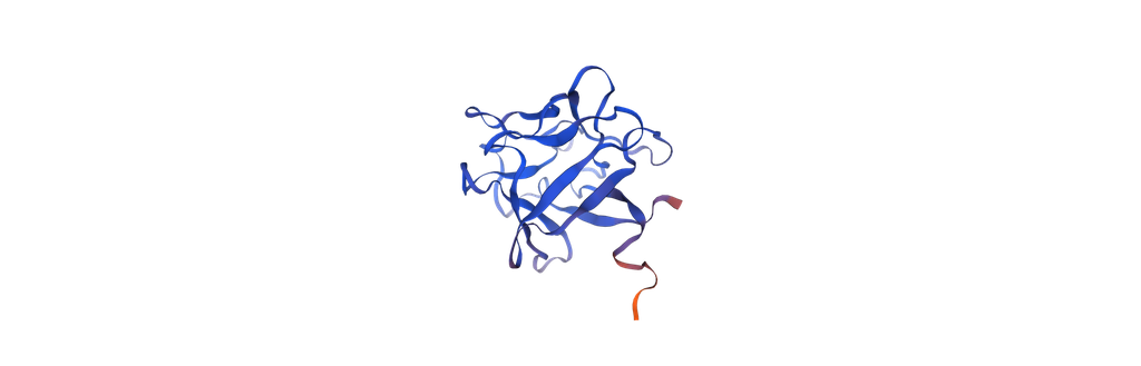 [1048-HYC005M01-1MG] Recombinant Human Basic Fibroblast Growth Factor (OsrhbFGF) - 1 mg