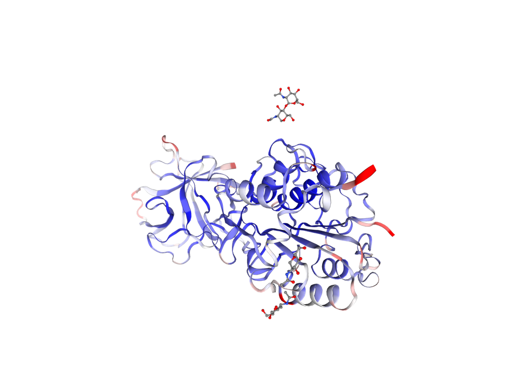 [0399-CSB-EP012903HU-100UG] Recombinant Human Legumain (LGMN) - 100 ug