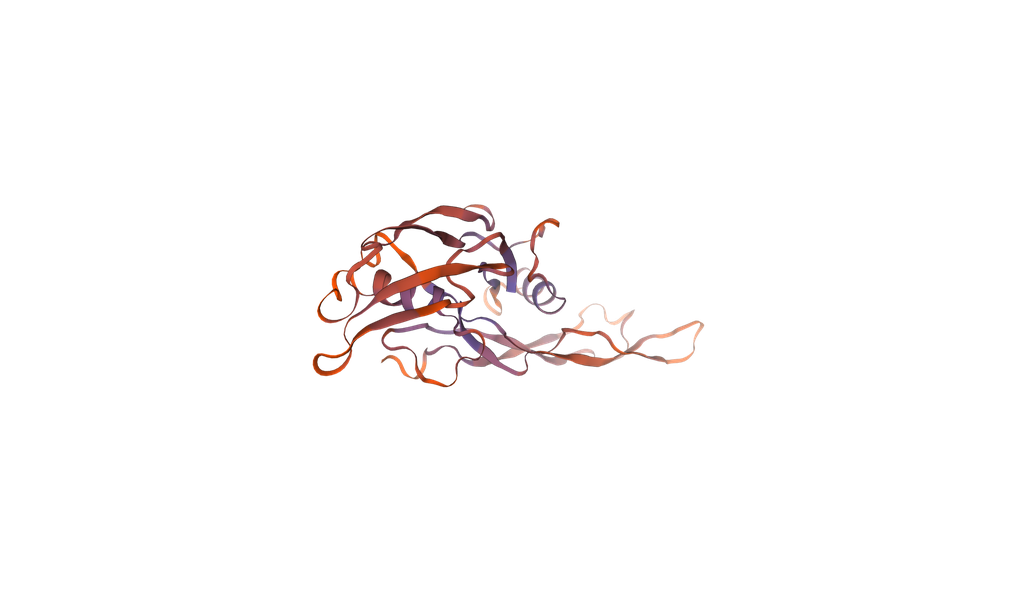 [0399-CSB-EP001666MOa0-20UG] Recombinant Mouse Muellerian-inhibiting factor (Amh), partial (450-552aa), N-terminal 6xHis-tag, E. coli expression - 20 ug