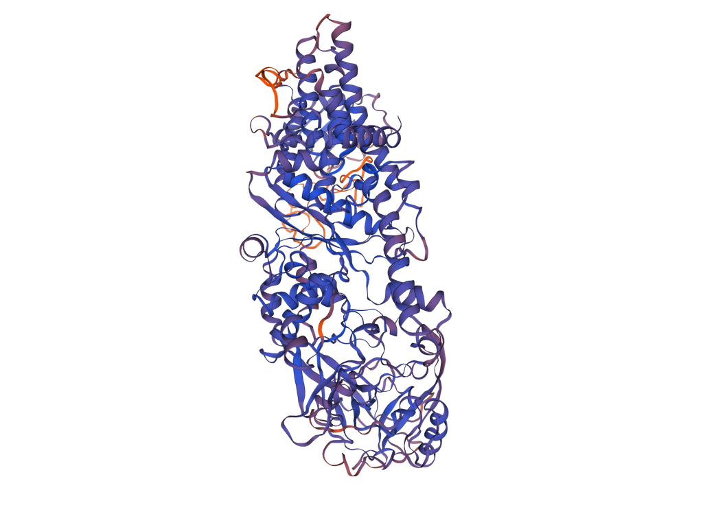 [0544-MBS2029972-1MG] Isoleucyl tRNA Synthetase (IARS ) Recombinant Protein - 1mg