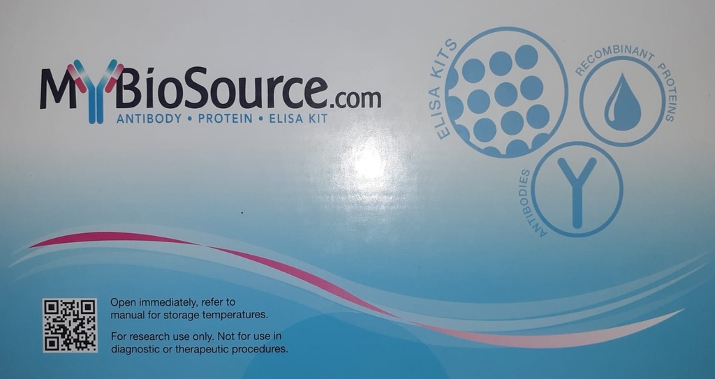 Human Marburg Virus Antibody IgG (MV-IgG) ELISA Kit - 10x96 wells