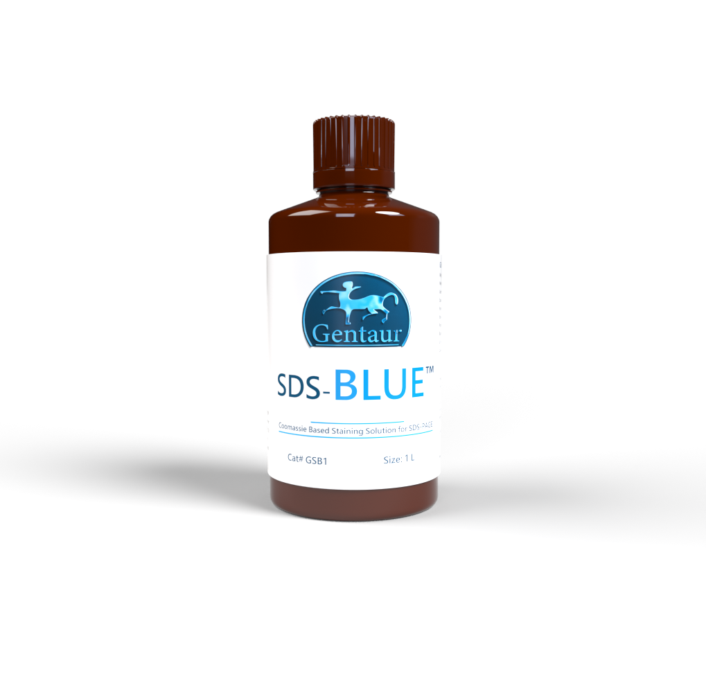 SDS-Blue™ (SDS-PAGE protein stain, ready to use) - 1 L