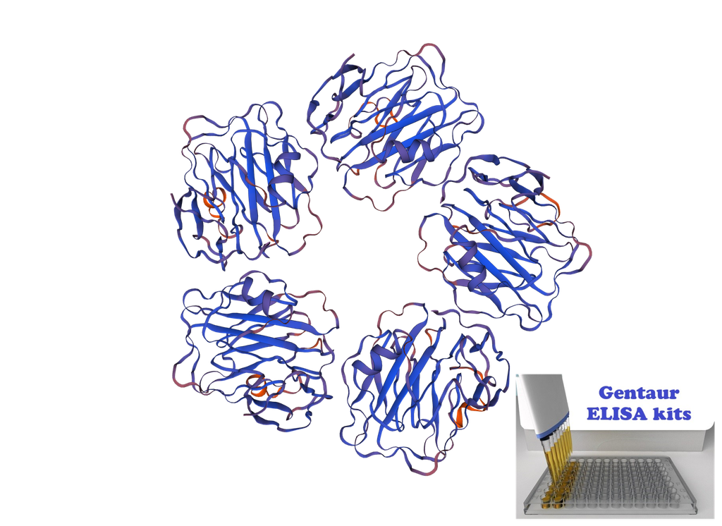 [0399-CSB-E14262c] Canine C-Reactive Protein (CRP) ELISA Kit - 96 wells plate