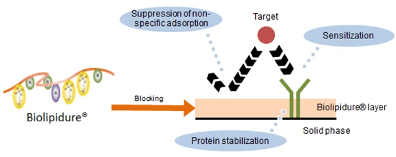 [0343-40-5026-10]  Blocking solution 10% - 100 mL