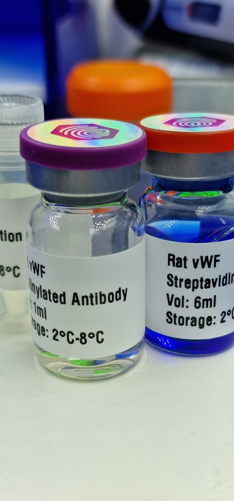 Chymotrypsin-Like Elastase Family Member 3a Preproprotein (CELA3A) Human Recombinant Protein - 0.05 mg