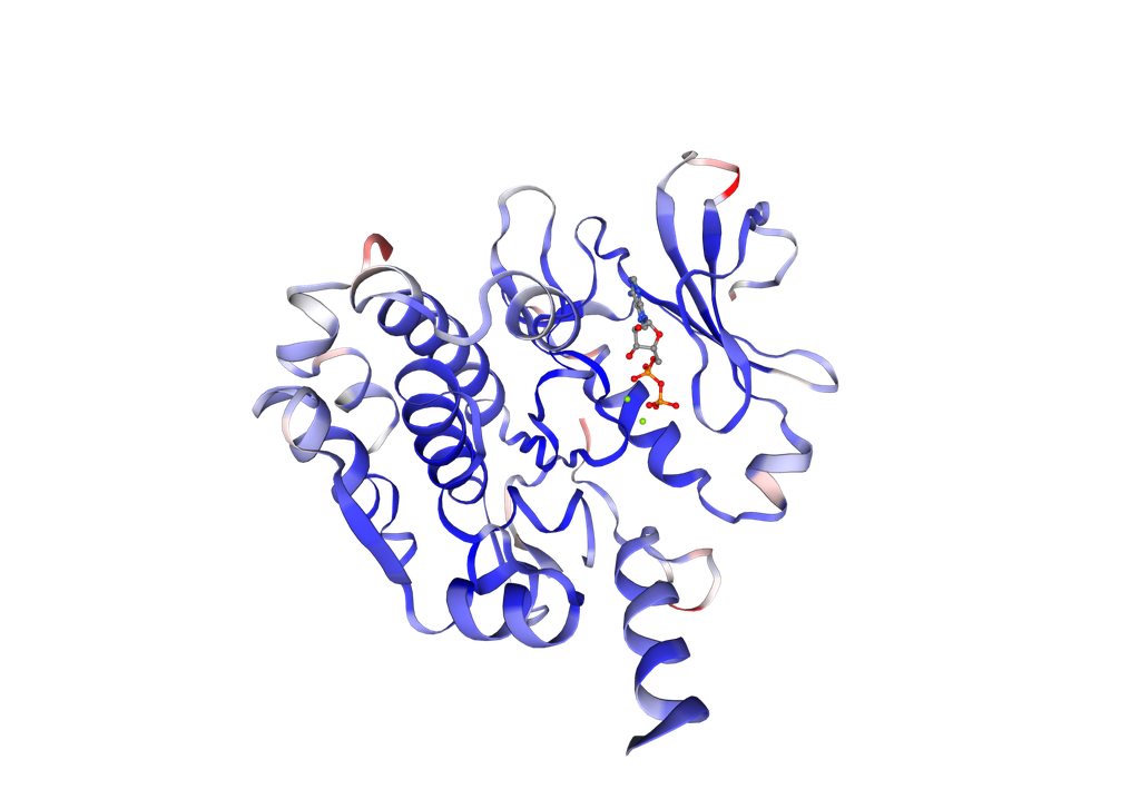 Recombinant Human N-myc proto-oncogene protein (MYCN), Mammalian cells expression - 20 ug