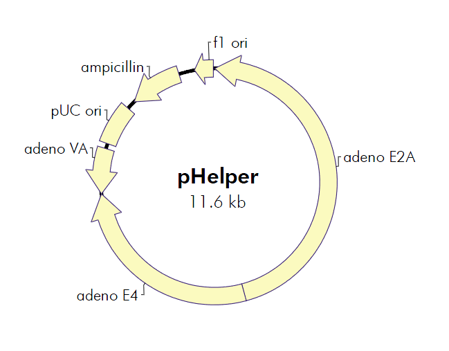 pHelper - PVT2101