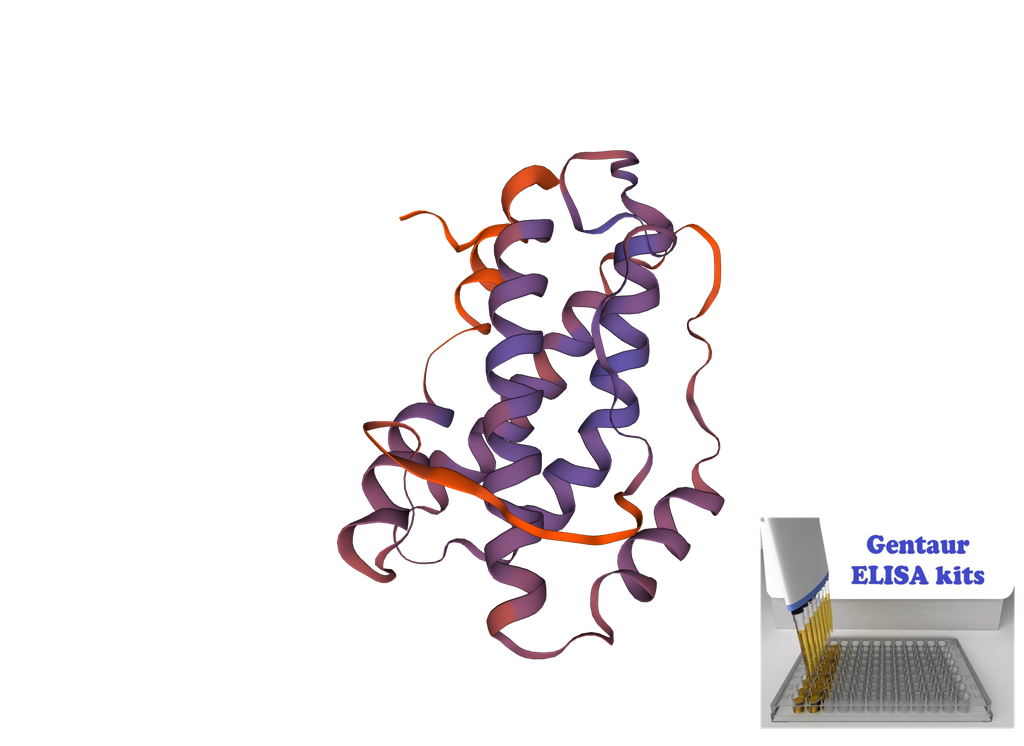 [0946-YLA0013BI-96T] Bird Interleukin 6 (IL-6) ELISA Kit - 96 wells plate