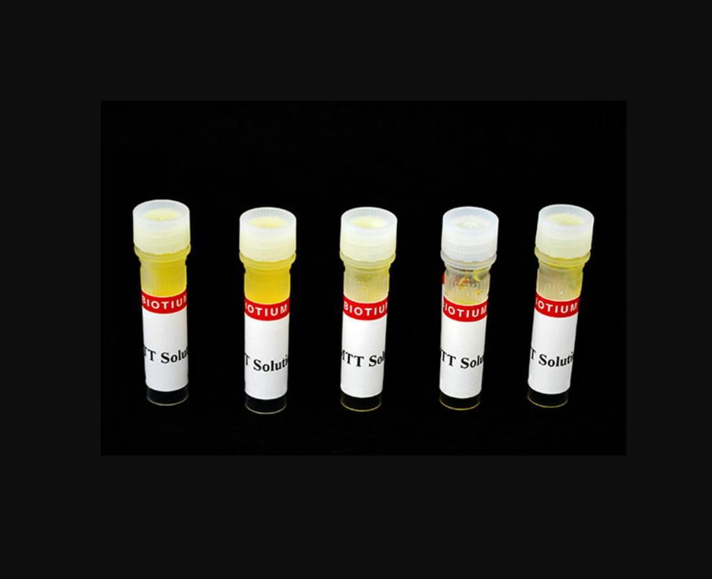 MTT Cell Viability Assay Kit - 1,000 assays