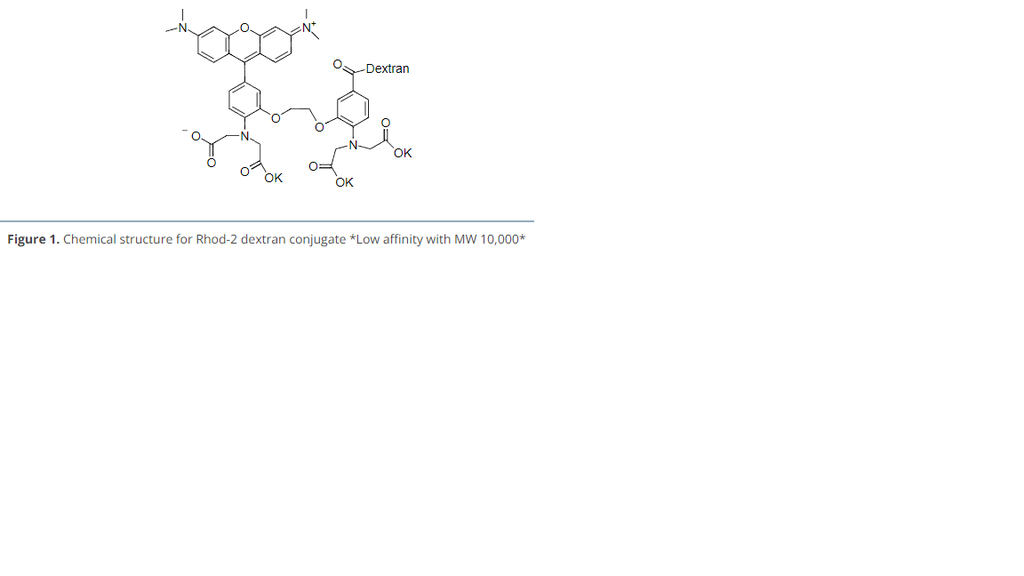 Rhod-2 dextran conjugate (Low affinity with MW 10,000)