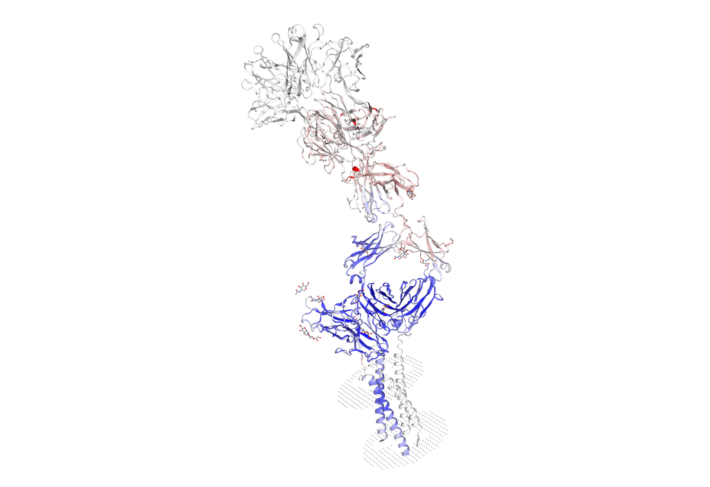 Biotinylated Recombinant Human CD79B Protein - 100 ug