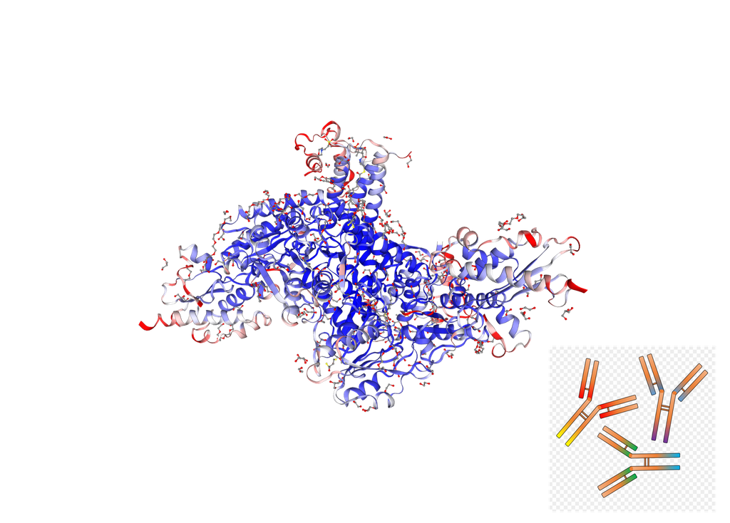 [0399-CSB-PA875729LA01HU-100UG] Anti-Human LYRM4 Rabbit PAb -100 ug