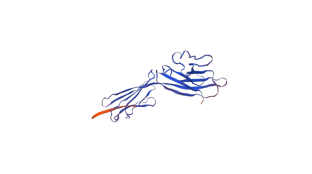 [0980-C311-50UG] Recombinant Human CD200 (C-6His) - 50 µg