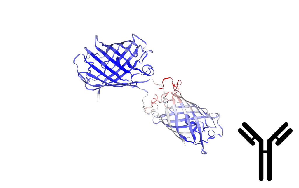 [0894-AB1140-100]  Goat anti-RFP Polyclonal IgG Antibody - 300 µg