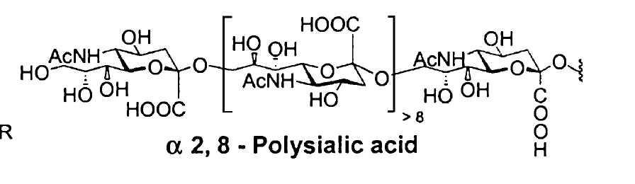 NANA Dimer, Neu5Ac a(2,8)Neu5Ac - 10mg