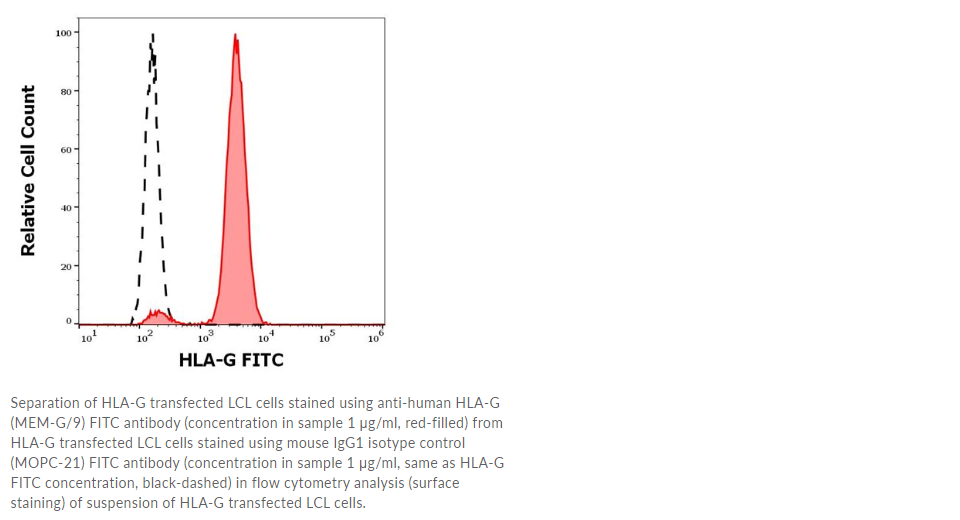 Anti-HLA-G (human) monoclonal antibody [Clone: MEM-G/9], FITC conjugated - 0.1 mg