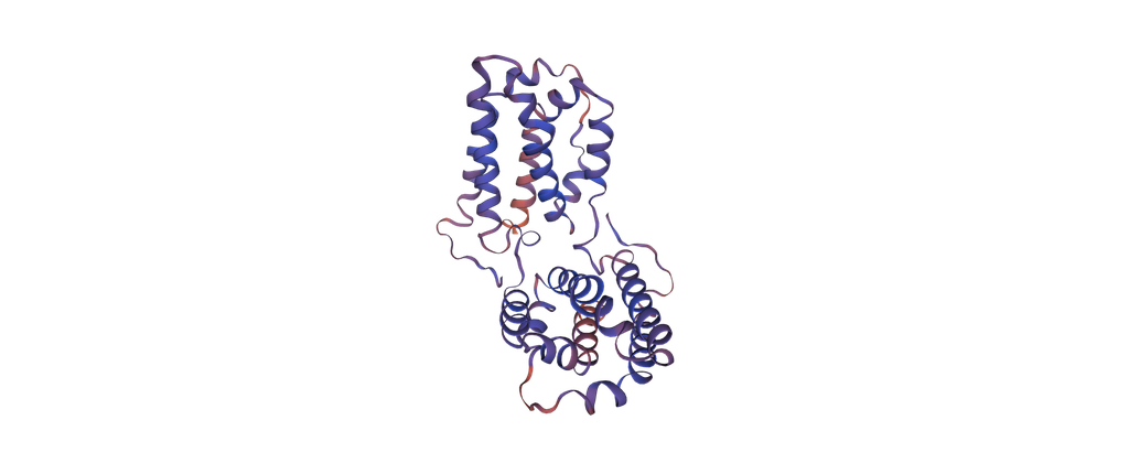 Recombinant Macaca mulatta Interleukin-10 (IL10) - 100 ug