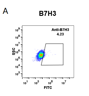 Anti-B7-H3 (Enoblituzumab) - 50 ug
