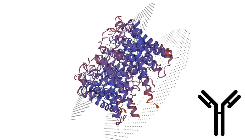 Aquaglyceroporin-3 (AQP3) Antibody - 100 ug