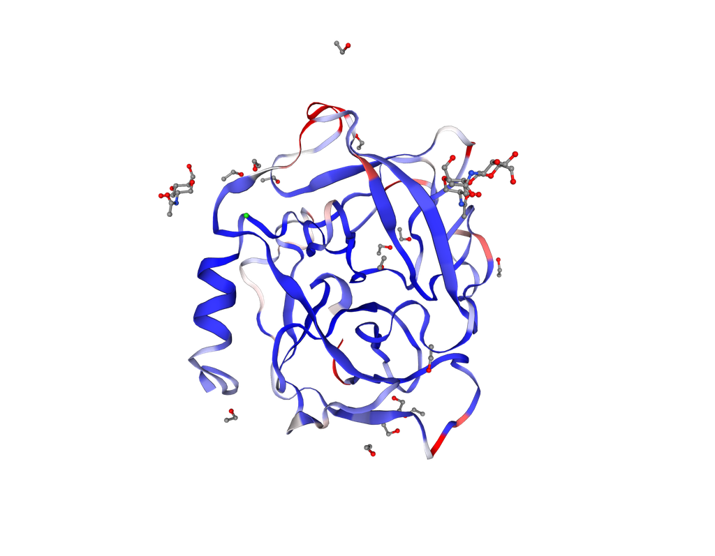 [0338-RPB461Hu01-200UG] Recombinant Human Azurocidin (AZU) - 200 ug