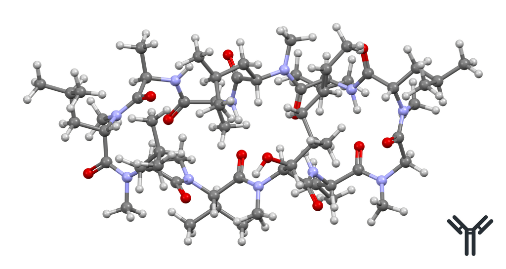 Cyclosporin A Mouse Monoclonal Antibody [Clone ID: 4A3 (CSZ.22)] - 200 ug