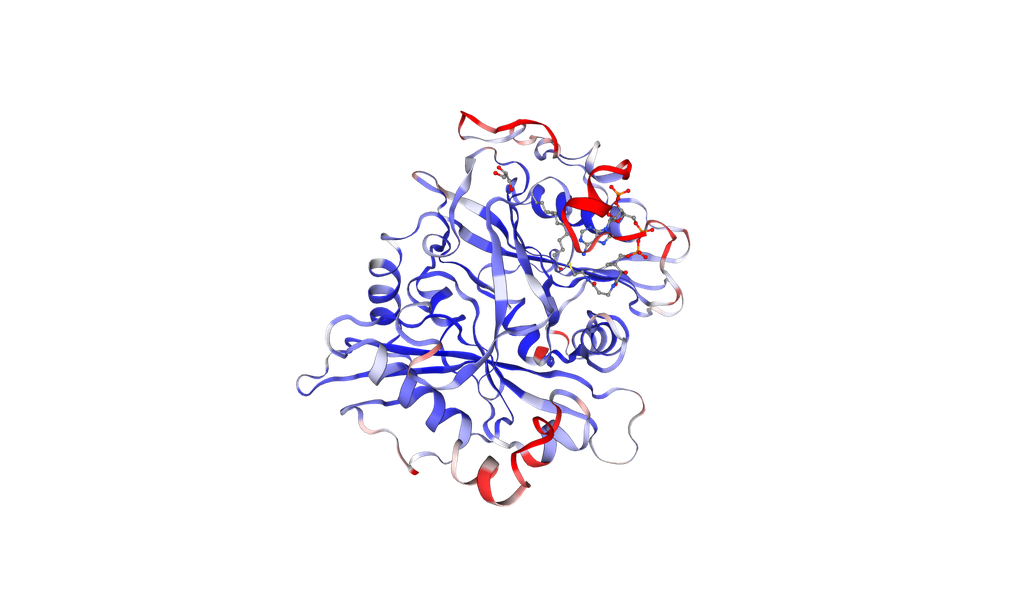 [0710-P8377-200UG] Recombinant Human NMT1 protein, N-terminal His Tag - 200 ug