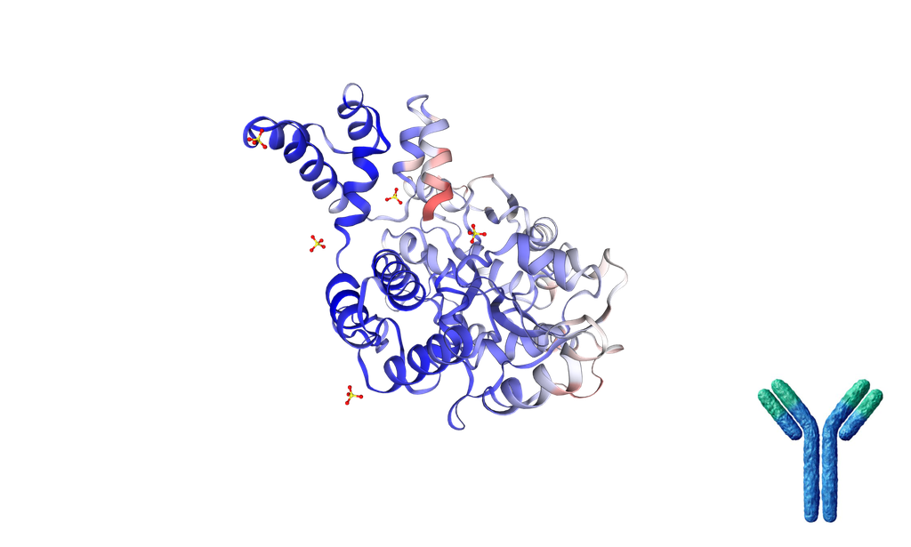 Mouse Anti-Human TNFRSF25 [Clone: PTX25] mAb - 100 ug