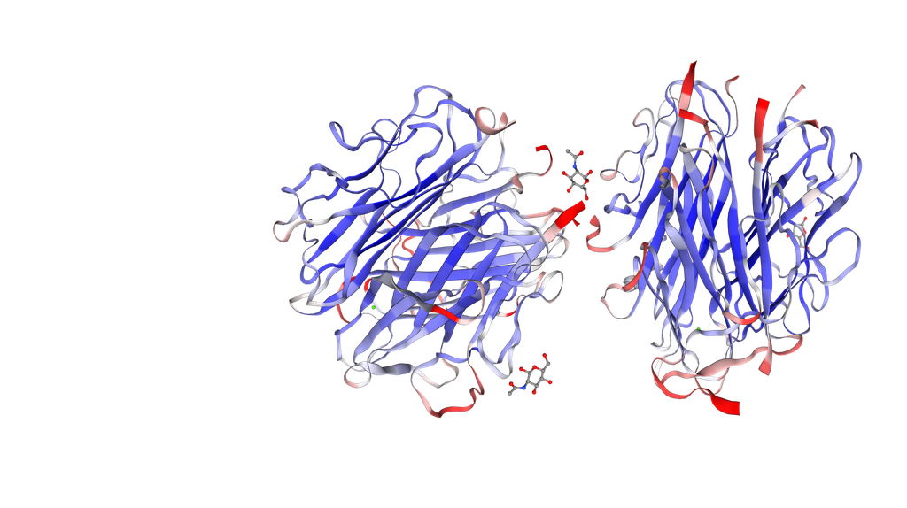 C1q Native Protein from Human Complement - 0.2mg