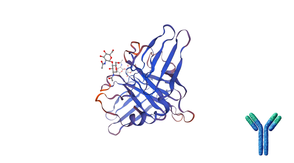 [0513-DCABH-9979] Anti-M6PR monoclonal antibody [clone: NFN349] - 200 ug