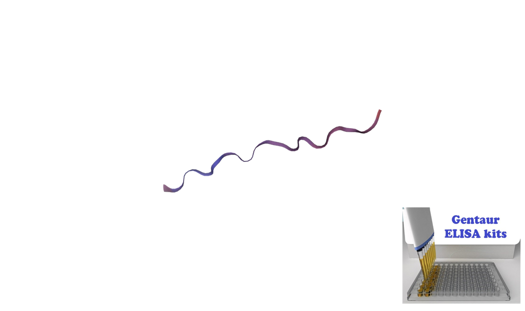 [0855-ELK7627-96T] Human MOTS-c (Mitochondrial Open Reading Frame Of The 12S rRNA-c) ELISA Kit