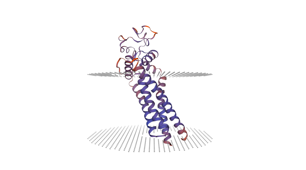 [0399-CSB-YP004950HU1-20UG] Recombinant Human CD63 antigen (CD63), partial, Yeast expression - 20 ug