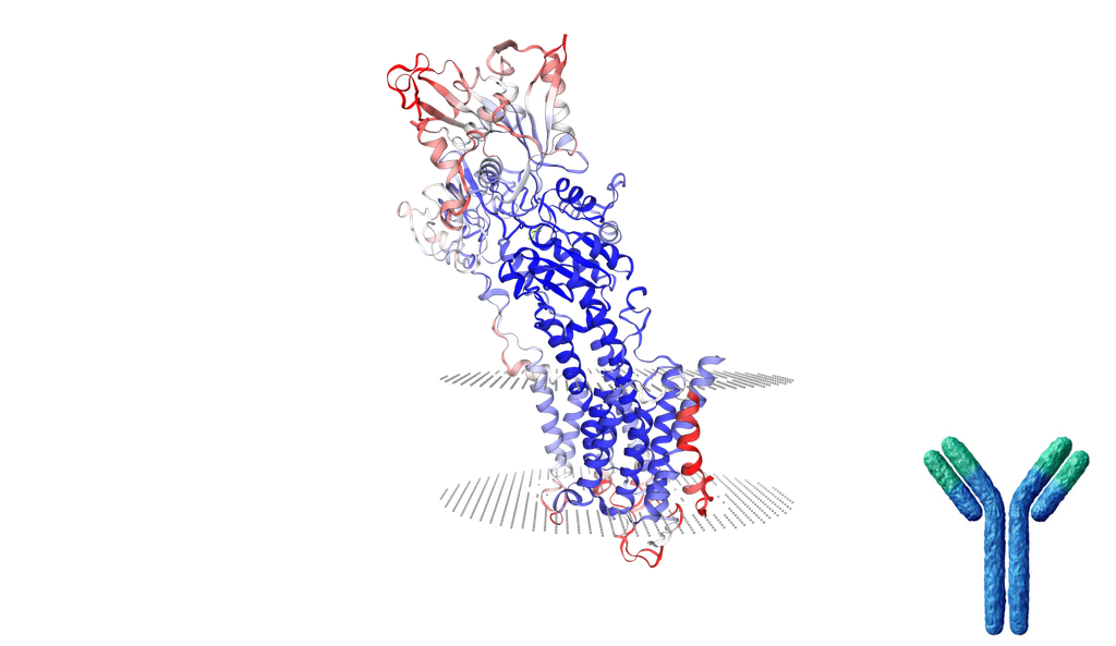 SERCA2 (ATP2A2) Polyclonal Antibody - 0.05 mL