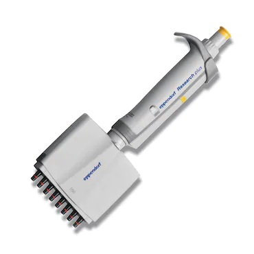 Eppendorf Research® Plus G 8-channel variable pipette (10-100 μL) - 1 unit