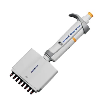 Eppendorf Research® Plus G 8-channel variable pipette (30-300 μL) - 1 unit