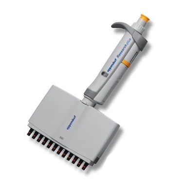 [0917-EP3125000060] Eppendorf Research® Plus G 12-channel variable pipette (30-300 μL) - 1 unit