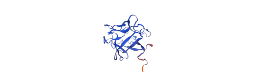 [1048-HYC005M01-1MG] Recombinant Human Basic Fibroblast Growth Factor (OsrhbFGF) - 1 mg