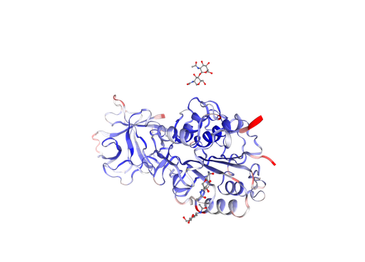 [0399-CSB-EP012903HU-1MG] Recombinant Human Legumain (LGMN) - 1 mg