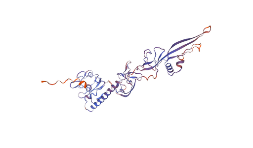 [0399-CSB-EP325676RAF-B-1MG] Recombinant Rabies virus Glycoprotein (G), partial, Avi-tag Biotinylated - 1 mg