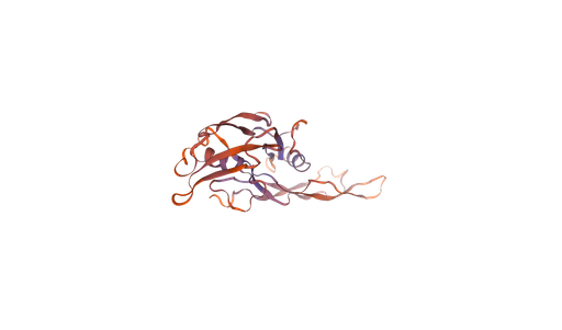 [0399-CSB-EP001666MOa0-02] Recombinant Mouse Muellerian-inhibiting factor (Amh), partial (450-552aa), N-terminal 6xHis-tag, E. coli expression - 100 ug