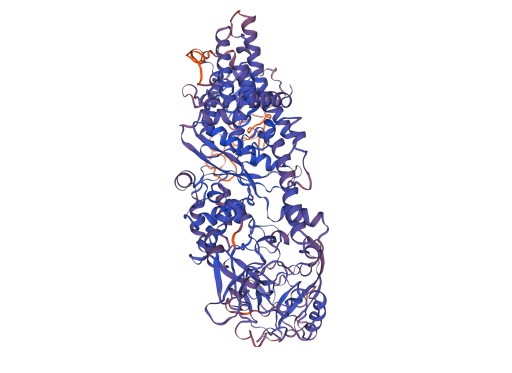 [0544-MBS2029972-1MG] Isoleucyl tRNA Synthetase (IARS ) Recombinant Protein - 1mg