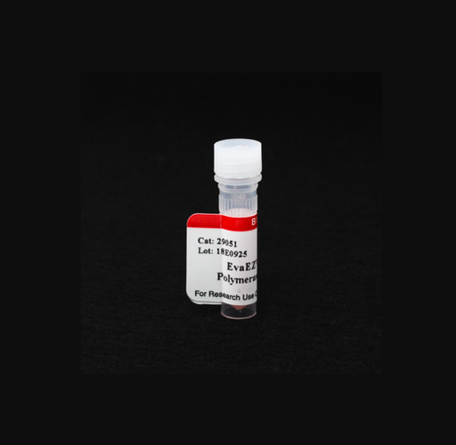 [0037-29051] EvaEZ™ Fluorometric Polymerase Activity Assay Kit - 2x1mL