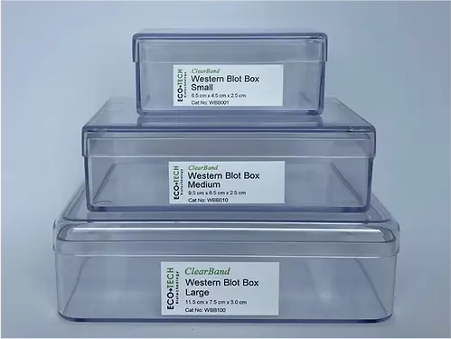 [1070-WBB100] ClearBand Western Blot Box, Large (11.5 cm x 7.5 cm x 3.0 cm) - 10/Set