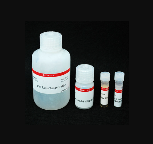 [0037-30009-2] Caspase-3 DEVD-R110 Fluorometric HTS Assay Kit - 100 assays