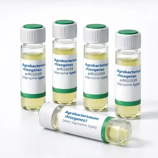 [0774-1287-12] K599 ElectroCompetent Agrobacterium rhizogenes (str R) pRi2659 (agropine type) - 6 x 50 µl