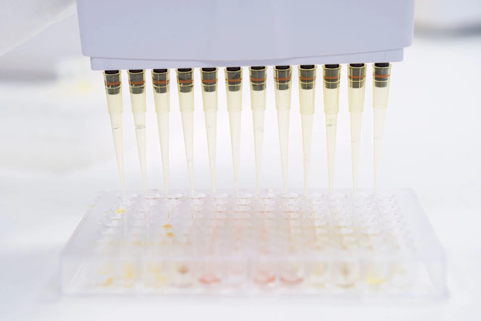 [0338-CEA665Hu-96T]  Human Cross Linked C-Telopeptide Of Type I Collagen (CTXI) ELISA Kit - 96-wells plate