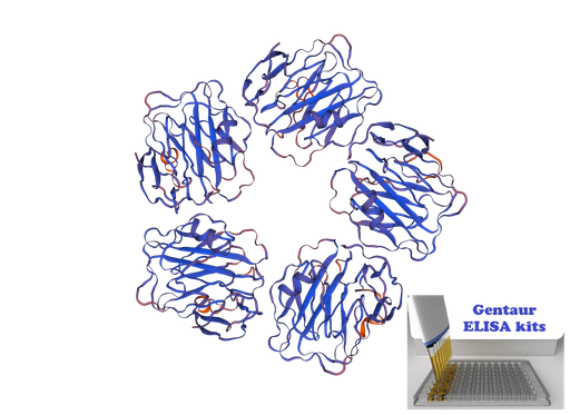 [0399-CSB-E14262c] Canine C-Reactive Protein (CRP) ELISA Kit - 96 wells plate