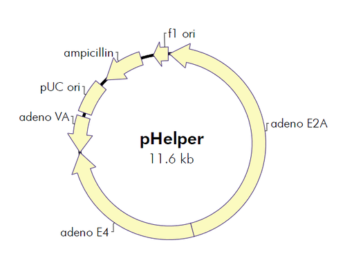 [0820-PVT2101] pHelper - PVT2101