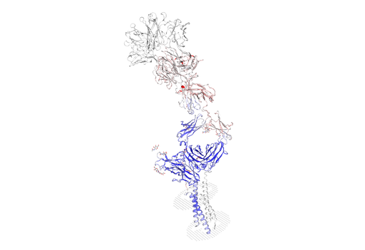 [0975-KMP1935-100UG] Biotinylated Recombinant Human CD79B Protein - 100 ug