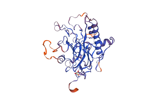 [0882-PH42106M5-100UG] APEX2 (NM_014481) Human Recombinant Protein - 100 ug